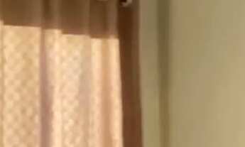 Imagem 3: Lindo Apartamento de 1 quarto