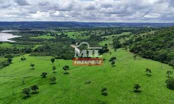 Imagem 4: Fazenda 360 alqueires (1.742 hectares ) Catalao - GO