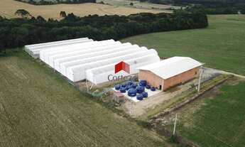 Imagem: Área Rural com 30.244m², à venda, no