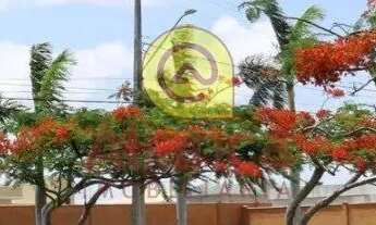 Imagem: LOTE NO ALPHAVILLE NATAL