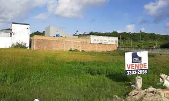 Imagem 2: Lote 447 Metros no Loteamento Morada das Mangueiras Povoado Zaloque São Cristovao