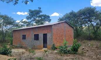 Imagem 5: Fazenda 81 uma hectares e meia valor 420.000