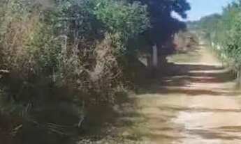 Imagem 3: Lote no conjunto Brasilar 66x88