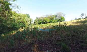 Imagem 6: Chácara à venda, 24200 m² por R$ 350.000,00 - São João Doeste - Cascavel/PR