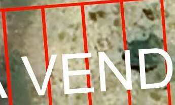 Imagem 7: Terrenos Grussaí -São João da Barra