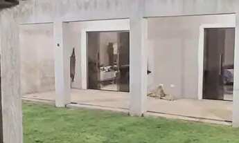 Imagem 3: Vendo Casa em Minas Gerais