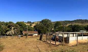 Imagem 2: Chácara em Nerópolis 3 alq. só R$ 1.500.000
