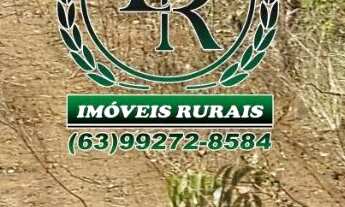 Imagem 6: Fazenda 112,5 Alqueires Beira Rio Próximo a Palmas