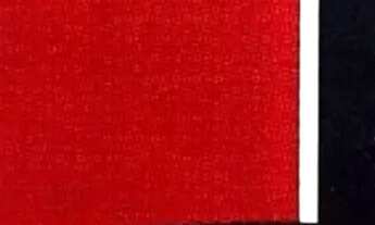 Imagem 3: Casa em Condomínio 4 Quartos sendo 2 Suítes - Excelente Localização