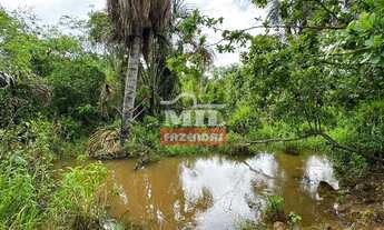 Imagem 5: Chácara 8.10 Alqueires (39.20 Hectares) Edealina - GO