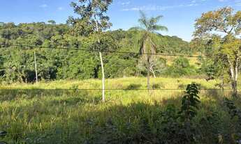 Imagem 4: BALNEARIO - CHÁCARA EM APARECIDA DO RIO NEGRO - CÓRREGO BARREIRO* VENDO 4,51 hectares
