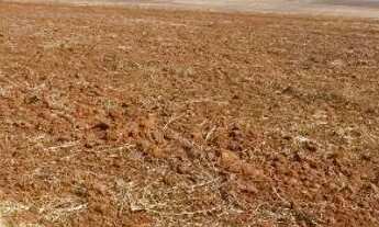 Imagem: Fazenda de arrendamento 620hec em Itiquiras