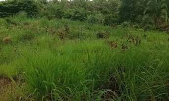 Imagem 5: Sitio com 8 hectares na região da cidade de Nossa Senhora do Livramento MT