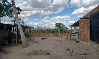 Imagem 7: Chácara em sítios novos