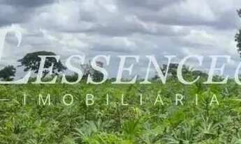 Imagem 5: Chácara de 1 Alqueire | Senador Canedo