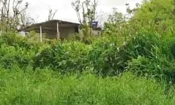 Imagem 2: Vendo ou troco terreno por Carro