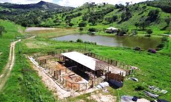 Imagem: Fazenda de 57 alqueires