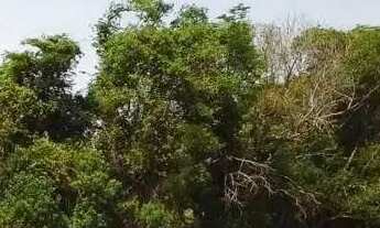 Imagem 4: Maravilhoso haras a venda em Itatiba SP área com 27 hectares confira!