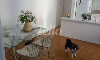 Imagem 2: Apartamento 2 quartos à venda no(a) Vila Mazzei