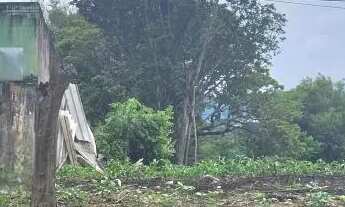 Imagem 4: TERRENO - VILA SONIA - SP