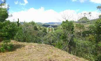 Imagem 6: Terreno com leve declive e área de 2.400 m² no bairro Descansópolis em Campos do Jordão