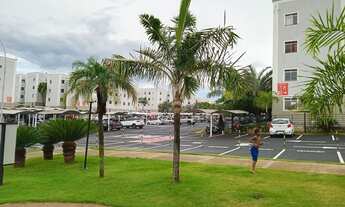 Imagem 2: Vendo apartamento no planalto