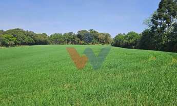 Imagem 5: Área de 20.000 m para Chácara Próxima a Araucária Ótima Oportunidade