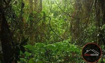 Imagem 4: Terreno à venda, 13000 m² por R$ 980.000 - Vila Moraes - Mogi das Cruzes/SP