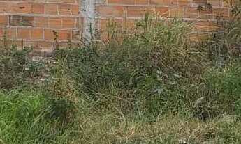 Imagem 2: Terreno 5 Mil. Oportunidade imperdível