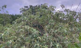 Imagem: Atenção chácara na br060