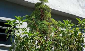 Imagem: Terreno enorme com 03 casas grandes prontas