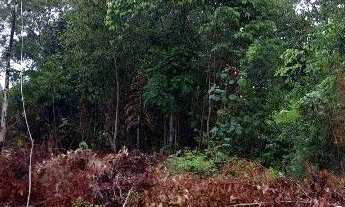 Imagem 4: Terreno a Venda na Estrada da Vila Paricatuba . Oferecendo pra um amigo