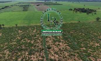 Imagem 7: Chácara de 2.500M² Próximo a Palmas Região do Prata