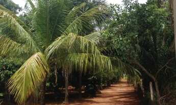 Imagem 2: Rancho a beira represa São Simão