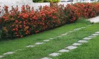 Imagem 6: Vendo casa 3/4 em Buraquinho - Lauro de Freitas