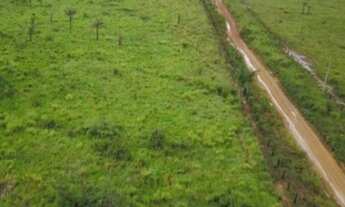 Imagem 3: Fazenda 525 hectares em Oriximiná/para