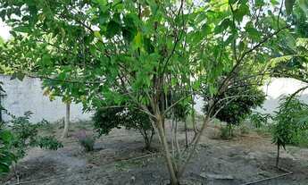 Imagem 6: Casa 4/4 , 2 suíte tipo mini chácara, no Marcos Freire