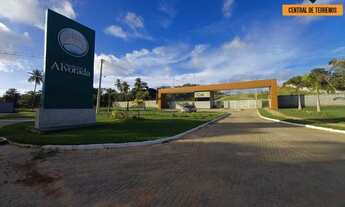 Imagem 6: TERRENO EM ABRANTES