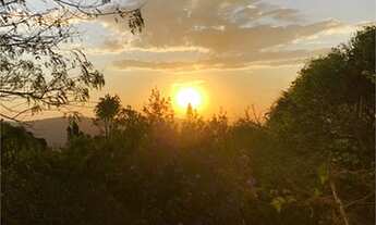 Imagem 2: Casa térrea podendo ser comercial ou residencial com 4 dormitórios sendo 1 suíte, cozinha
