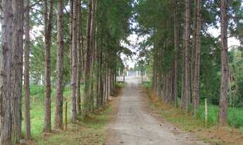 Imagem 3: Terreno 130.080m²/ R$60 x m² com opções de divisão de lotes e valores a negociar