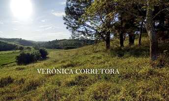 Imagem 5: Sítio venda em Rio Novo MG. 32 hectares