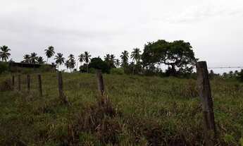Imagem 2: TERRENO EM CAJAZEIRAS DE ABRANTES