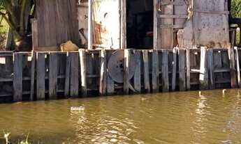 Imagem 3: Vendo Viveiro no Albano Franco