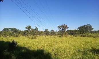 Imagem 5: Casa em Área de 20.000m² Ótima Para Moradia Investir ou Empreender