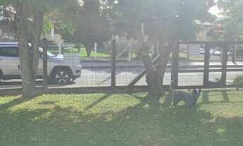 Imagem 2: Casa para venda possui 120 metros quadrados com 3 quartos em Arroio Teixeira - Capão da Ca