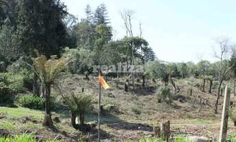 Imagem 4: TERRENOS RESIDENCIAS