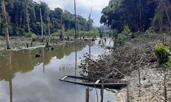 Imagem 6: Vende-se Fazenda no Município de Placas-PA
