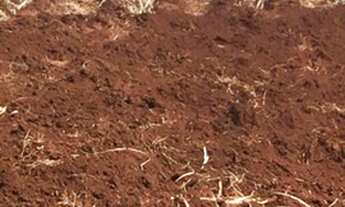 Imagem 2: FAZENDA COM 82 ALQUEIRES EM GENERAL SALGADO-SP