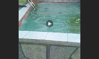 Imagem 2: Casa com.piscina Ponta de Areia