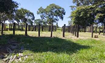 Imagem 5: Fazenda em Rio do Sono (80 km de Palmas